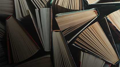 Interdisciplinary Studies