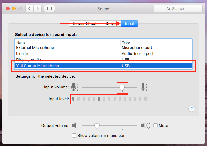 voice input mac