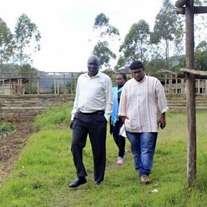 KIHEFO ‘rabbits for protein’ farm