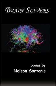 Brain Slivers