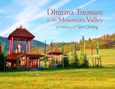 Dharma Treasure in the Mountain Valley: A History of Tashi Choling