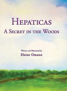 Hepaticas A Secret in the Woods